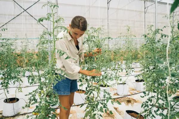 Farming & Horticulture specialized logistics and courier service UK